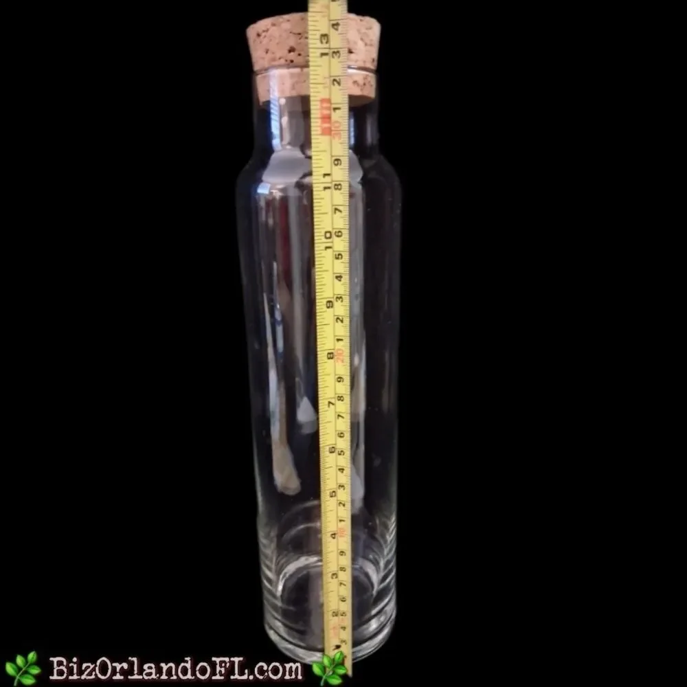 VINTAGE: Clear Tall Glass Cylinder Bottle Terrarium With Cork Stopper